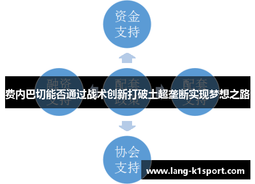 费内巴切能否通过战术创新打破土超垄断实现梦想之路