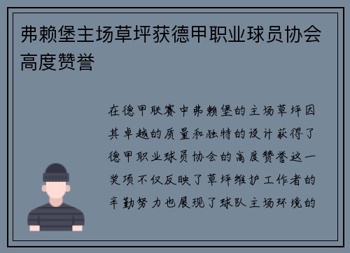 弗赖堡主场草坪获德甲职业球员协会高度赞誉